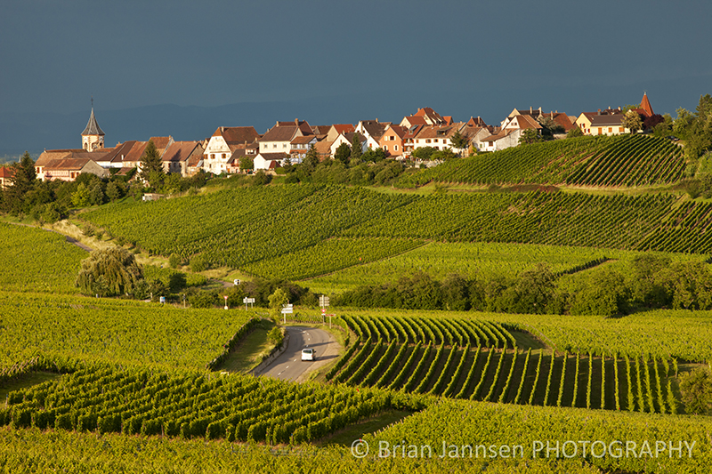 Zellenberg Alsace France Vineyards Photography Workshop Zellenberg Alsace France Vineyards Photography Workshop